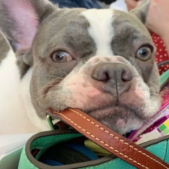 Meet your Posher, Miriam - Picture 4 of 6